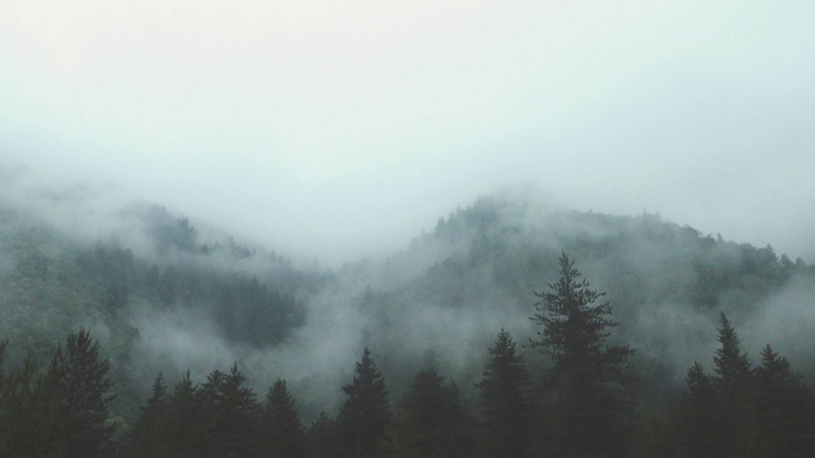 What Your Respiratory Rate Reveals About Your Health