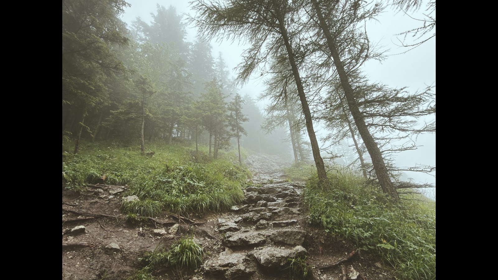Do You Really Need 10,000 Steps a Day? What the Science Says