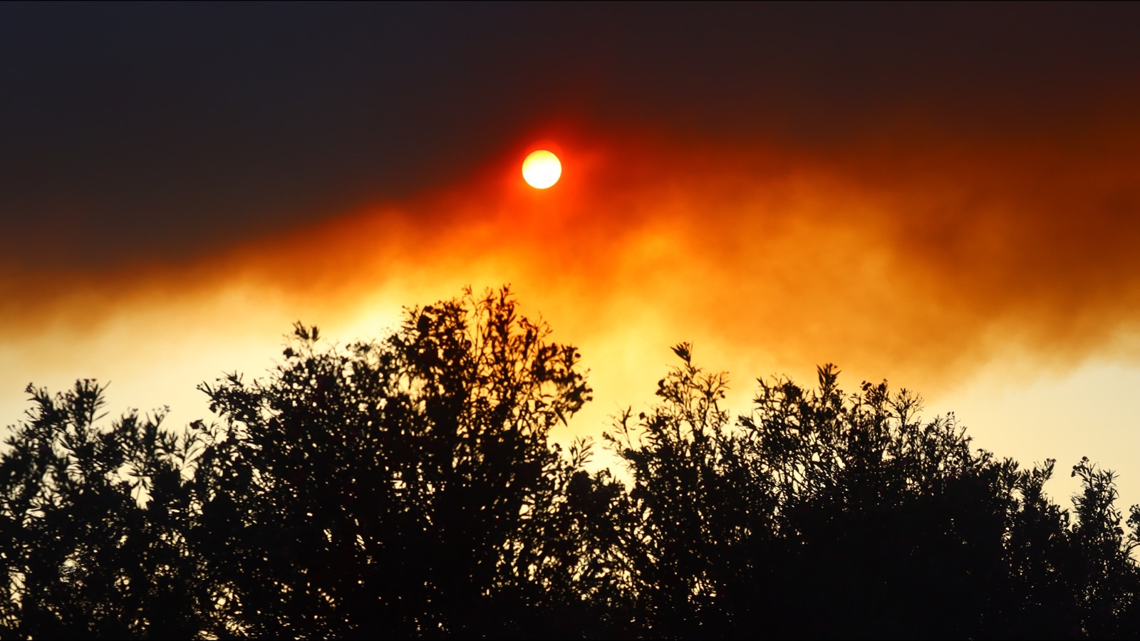 Exercising in Wildfire Smoke: When to Run, When to Move It Indoors