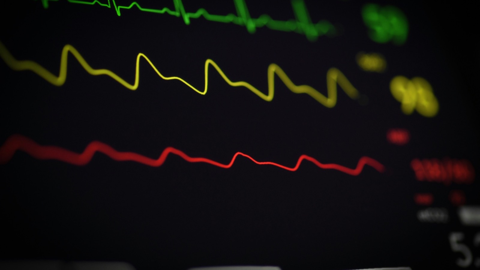 How to Share Your Apple Health Data With Your Doctor (Without Dumping 400 Pages on Them)