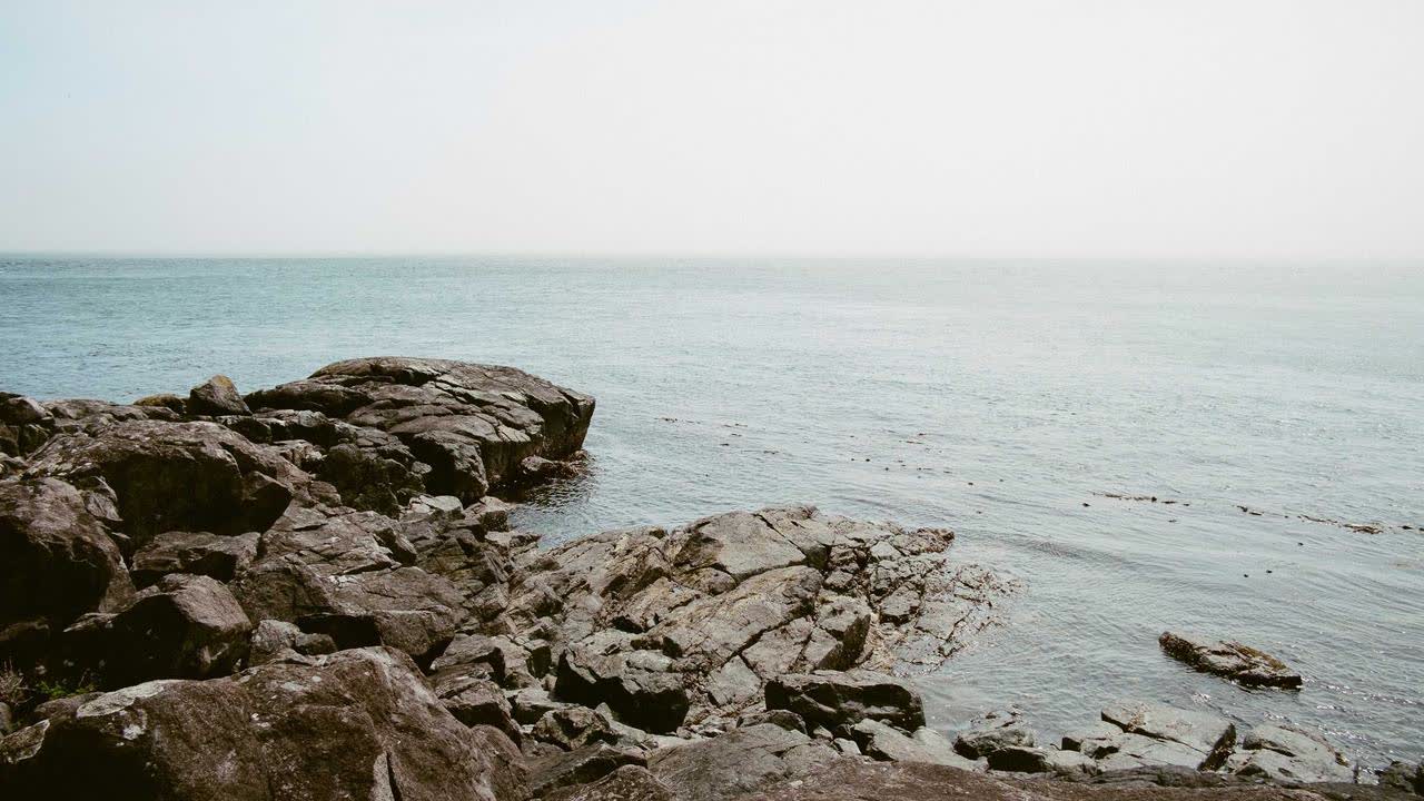 Apple Watch VO2 Max (Cardio Fitness): What It Means and How to Improve It