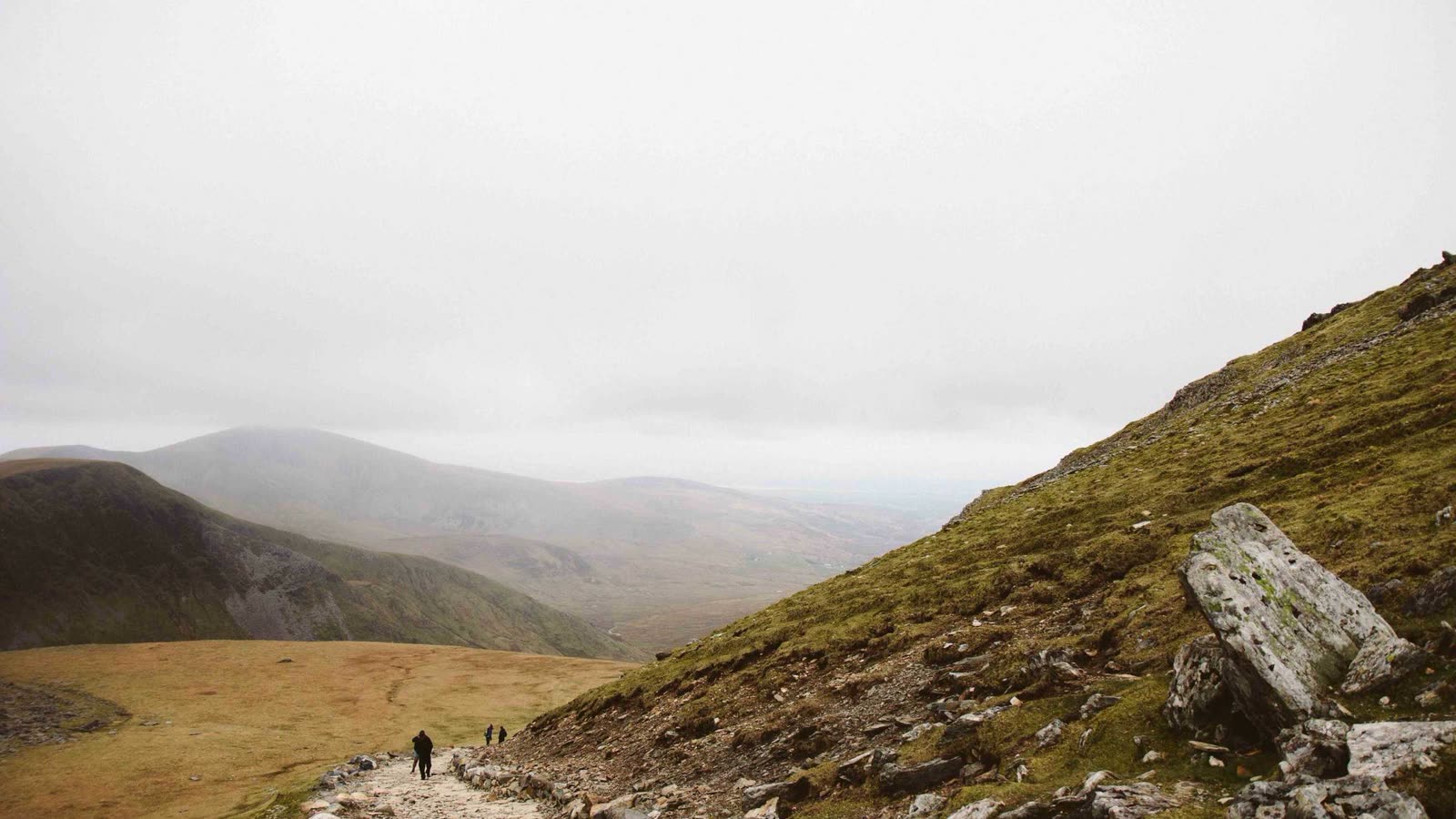 Biological Age Metrics: what they can tell you (and what they cannot)