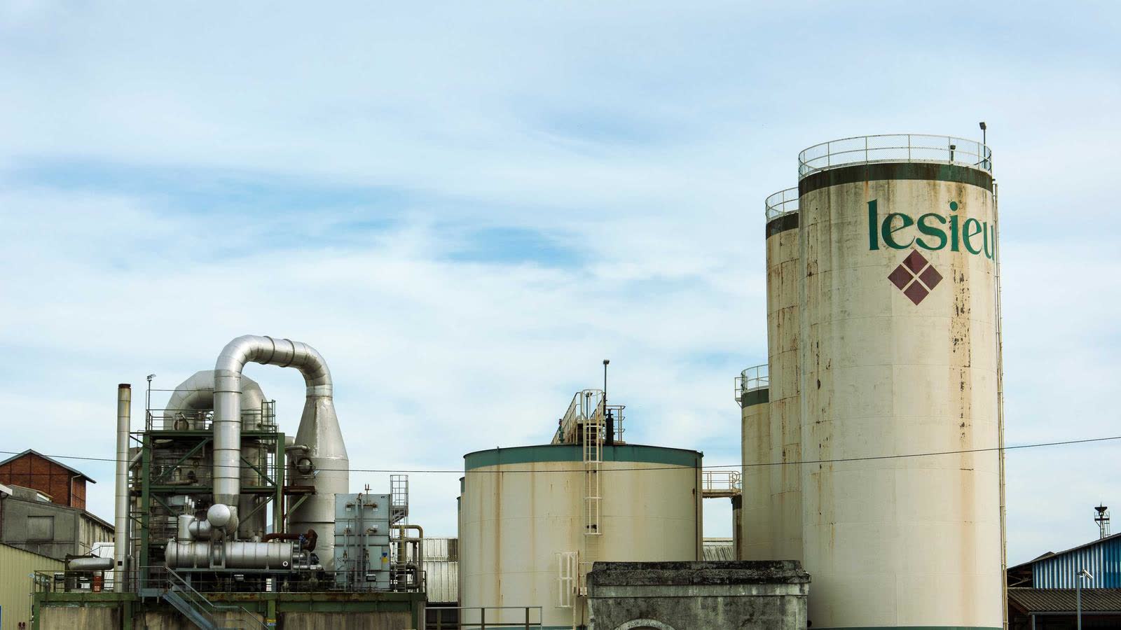 HRV and resting heart rate: how to decide if you should train today