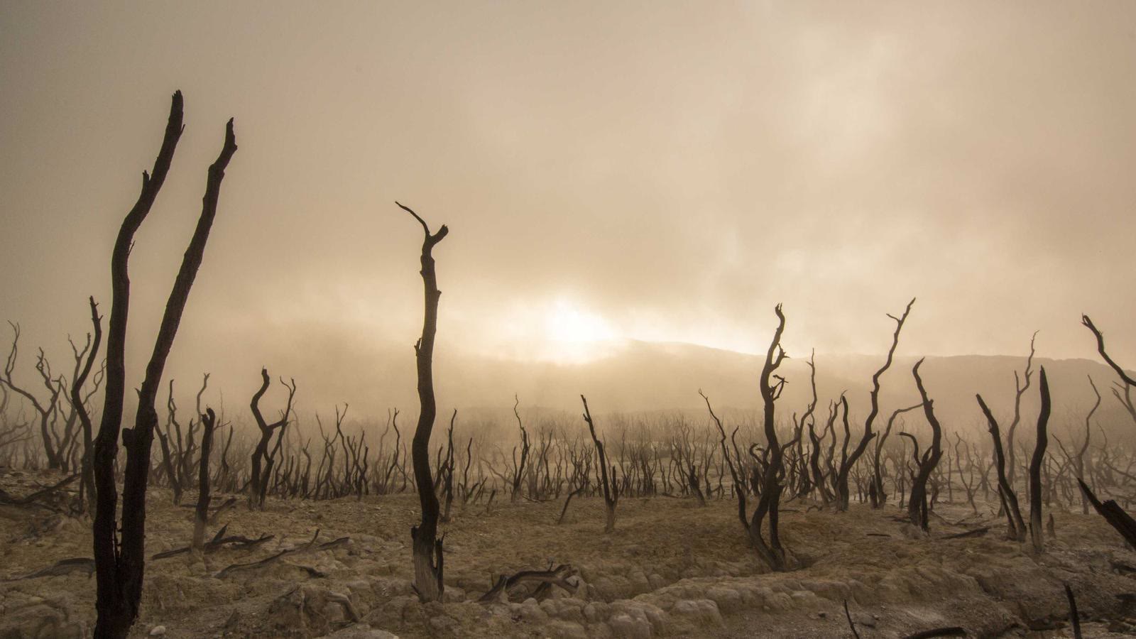 Apple Watch VO2 Max accuracy: how reliable is it and how to improve it